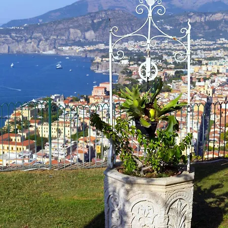 - Giada Sorrento